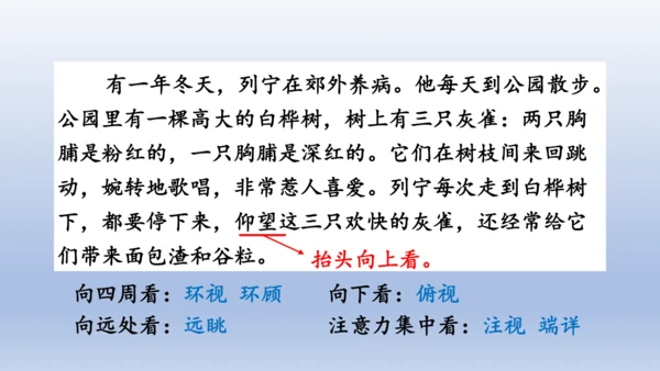 【同步课件】部编版语文三年级上册  25.灰雀（2课时）