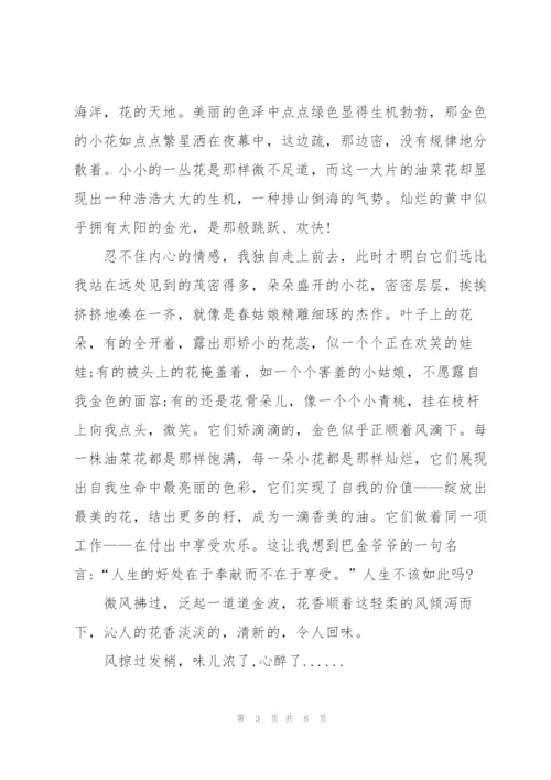 描写景色六年级作文5篇.docx