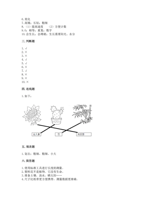 教科版科学一年级上册期末测试卷（培优）.docx