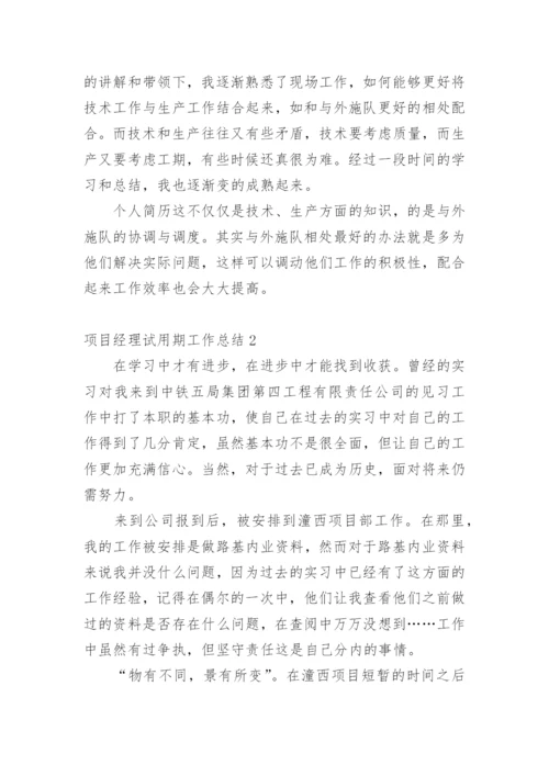 项目经理试用期工作总结.docx