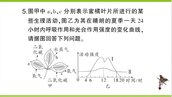 【掌控课堂-创优作业】人教版生物七(上)第三单元 第五章 绿色植物与生物圈中的碳-氧平衡 微专题五 