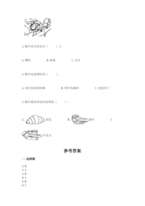 教科版小学科学一年级下册期末测试卷【培优b卷】.docx