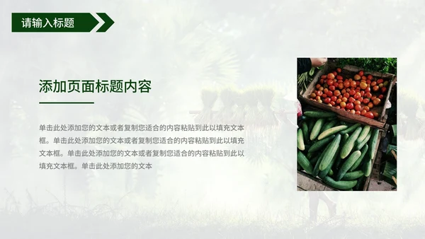 青年在家乡建设中的使命工作汇报PPT模板