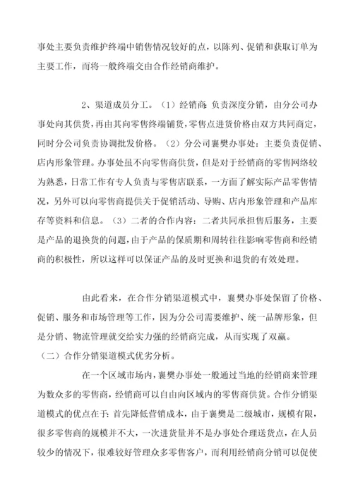 某某分公司营销渠道运营模式案例.docx