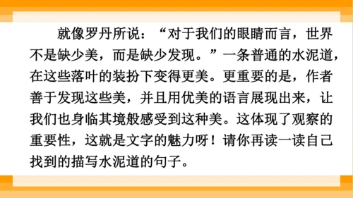 【同步课件】 5.铺满金色巴掌的水泥道   课件（2课时）