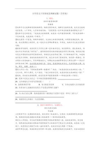 小学语文六年级阅读理解试题(含答案).docx