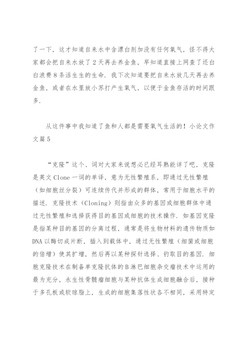 实用的小论文作文锦集六篇.docx