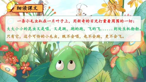 22《小毛虫》课件