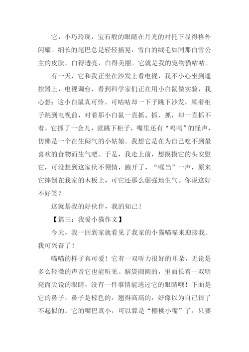 小猫的作文350字.docx