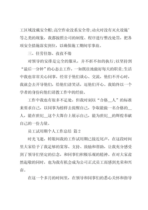 员工试用期个人工作总结（22篇）