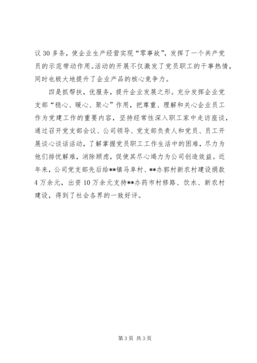 公司党支部党建纪实.docx