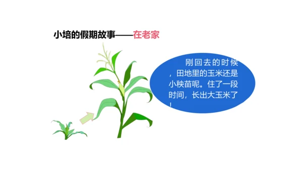 第1课 假期有收获 课件 人教版道德与法治 二年级上册