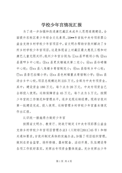 学校少年宫情况汇报.docx