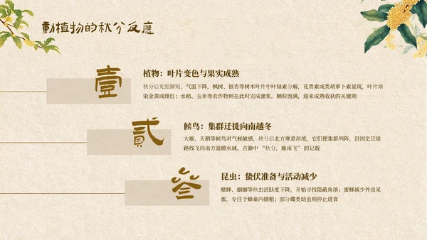 黄色中式秋分节气科普讲座PPT模板