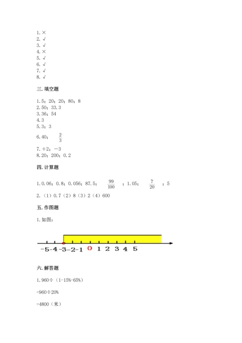 人教版数学六年级下册期末测试卷（精华版）.docx