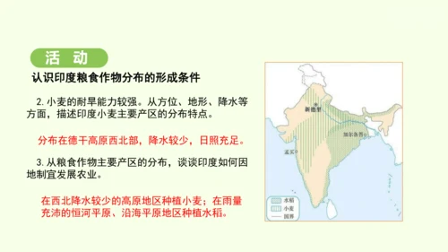 8.3 印度（课件35张）-2024-2025学年七年级地理下学期人教版(2024)