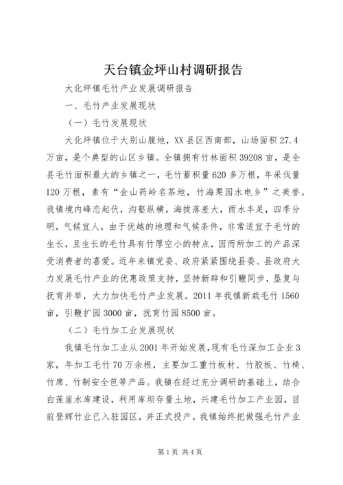 天台镇金坪山村调研报告 (4).docx