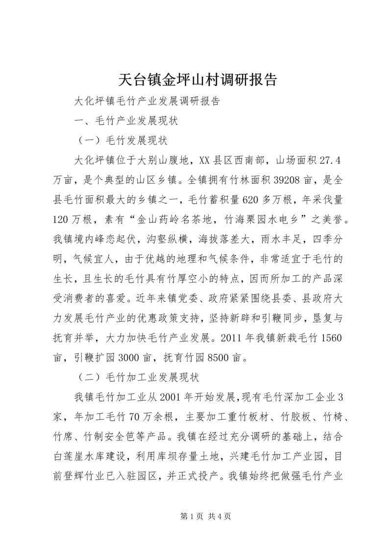 天台镇金坪山村调研报告 (4).docx