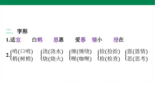 统编版语文五年级上册期中复习单元知识盘点  课件