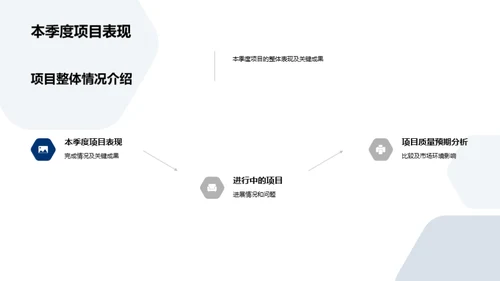 项目进程分析与未来规划