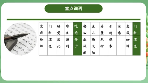 统编版2024三年级语文上册第四单元复习   课件
