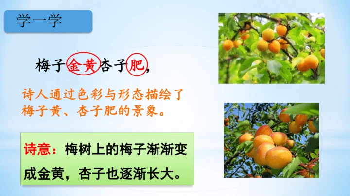 统编版四年级下册语文同步备课系列四时田园杂兴（其二十五）(教学课件)