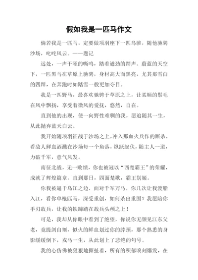 假如我是一匹马作文-1.docx