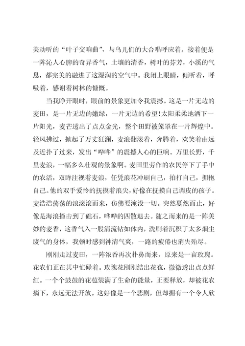 20xx年五一劳动节作文800字：劳动节游乡村