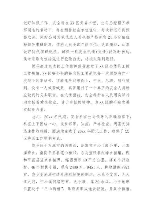 防汛安全隐患排查整治工作总结.docx