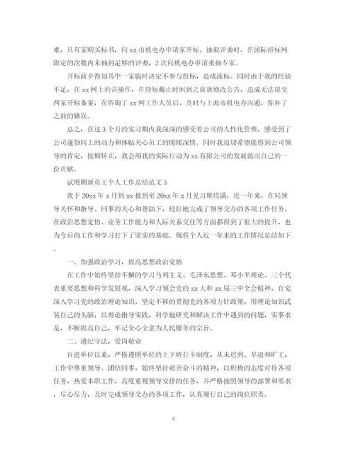 精编之试用期新员工个人工作总结范文.docx