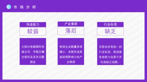 时尚女性跨境电商方案通用PPT模板