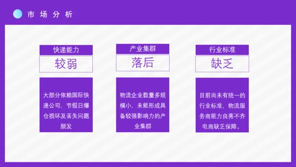 时尚女性跨境电商方案通用PPT模板