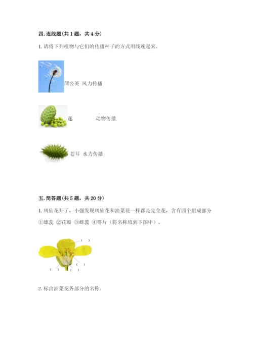 科学四年级下册第一单元《植物的生长变化》测试卷【考点精练】.docx