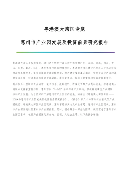 粤港澳大湾区专题-惠州市产业园发展及投资前景研究报告.docx