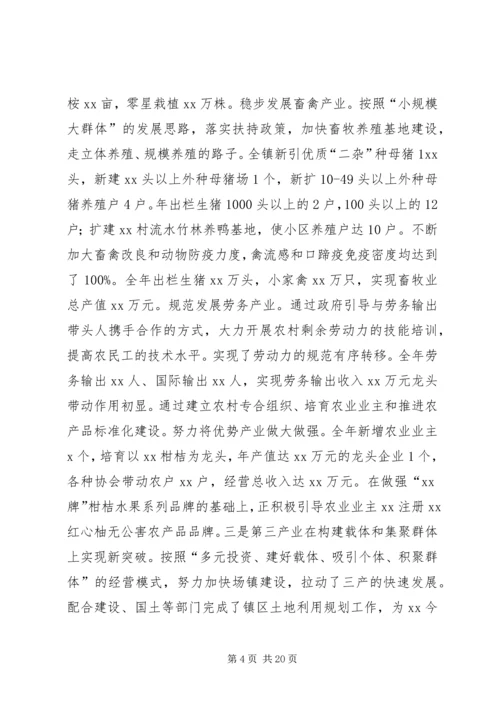 乡镇政府年度工作报告.docx