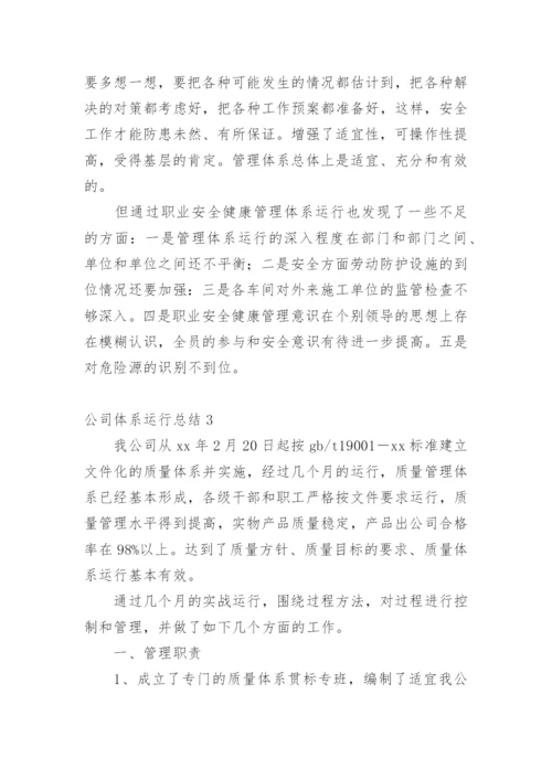 公司体系运行总结.docx