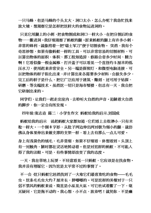 蚂蚁作文之蚂蚁给我的启示作文600字