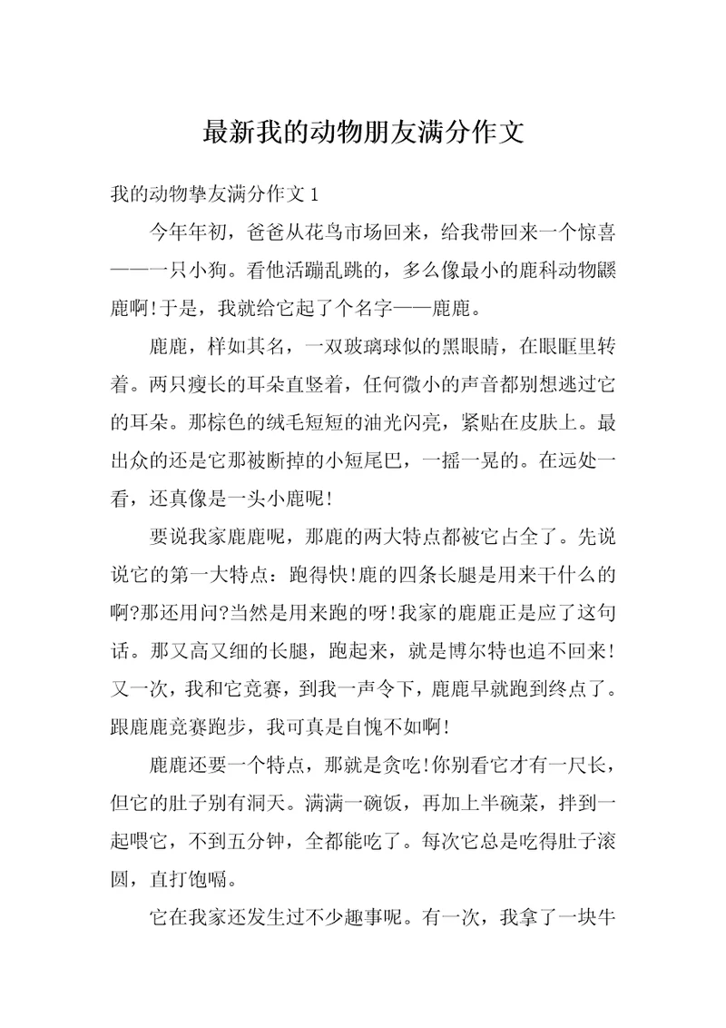 最新我的动物朋友满分作文