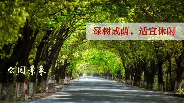 19.《海滨小城》课件