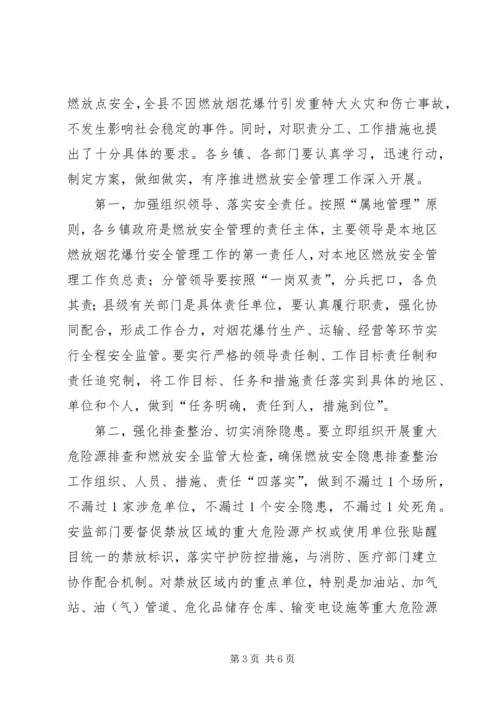 副县长在全县春节期间燃放烟花爆竹安全管理工作会议上的讲话(摘要).docx