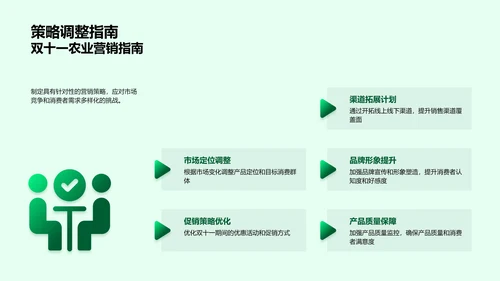 双十一农业产品营销策划PPT模板