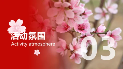 小镇桃花节策划方案通用PPT