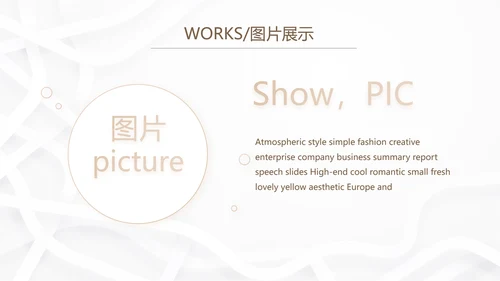 简约室内装饰设计方案工作总结PPT