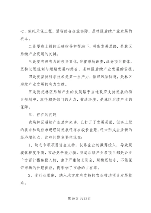 后续产业发展报告.docx