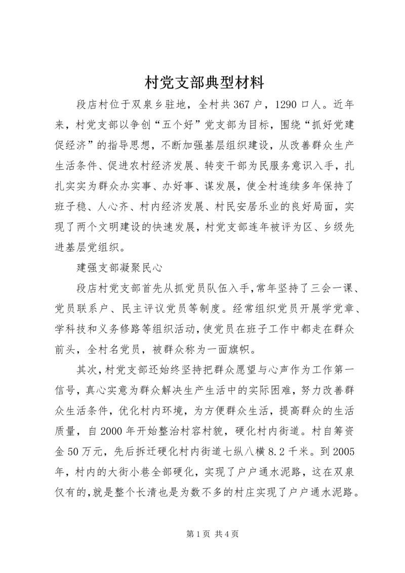 村党支部典型材料 (2).docx