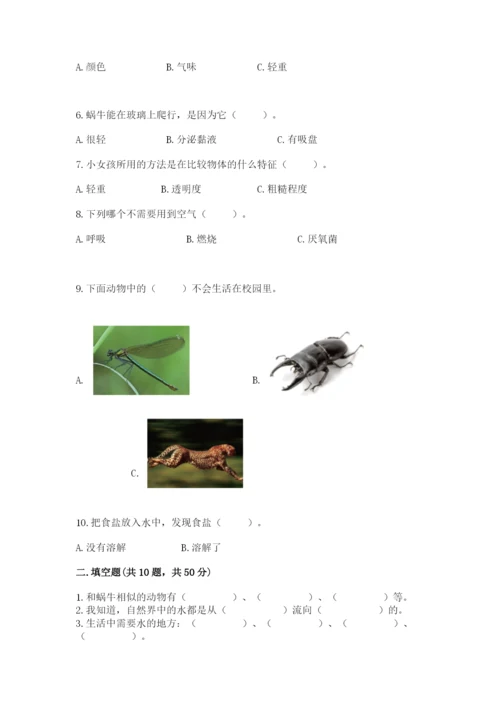 教科版一年级下册科学期末测试卷带答案（巩固）.docx