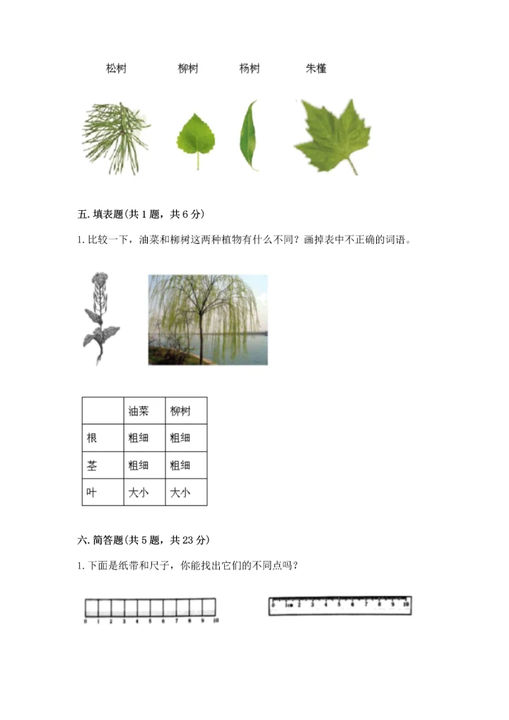 教科版一年级上册科学期末测试卷（有一套）.docx
