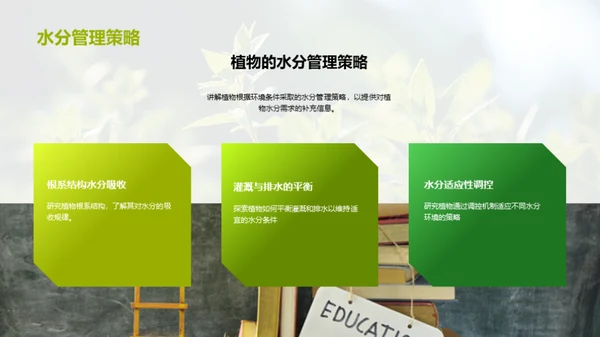 植物生长与教学创新