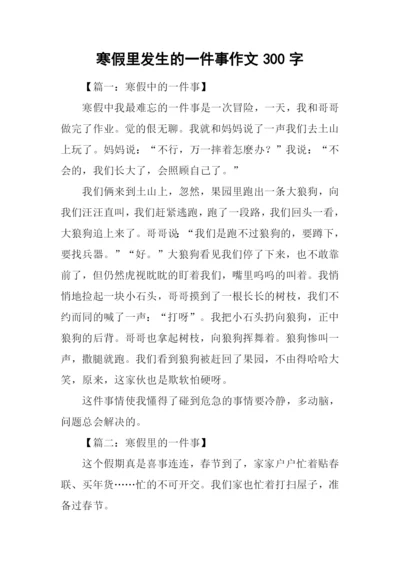 寒假里发生的一件事作文300字.docx