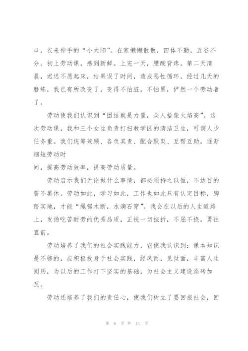 校园实践活动的心得体会5篇.docx